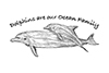 Groundswell Society Rincon illustration